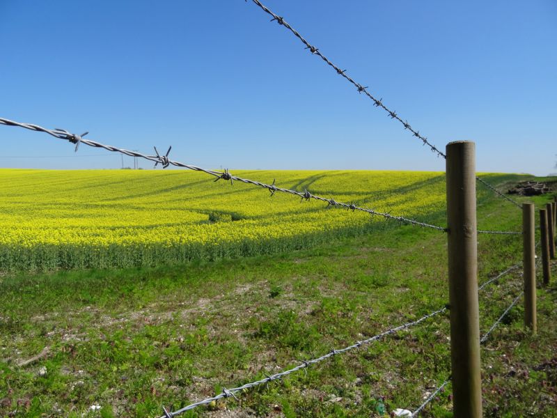 Pasture Fence Installation